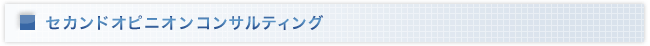 セカンドオピニオンコンサルティング